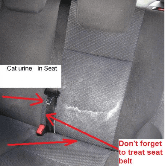 how to get cat urine out of car seat