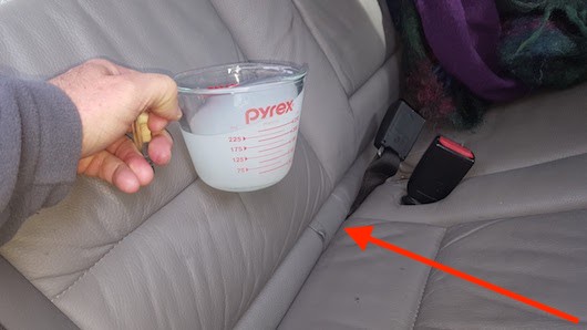 Remove Cat Smell Out Of A Car Seat, How To Remove Cat Urine Smell From Leather Bag