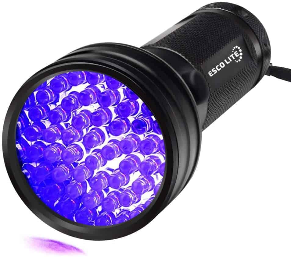 black light to find dog pee